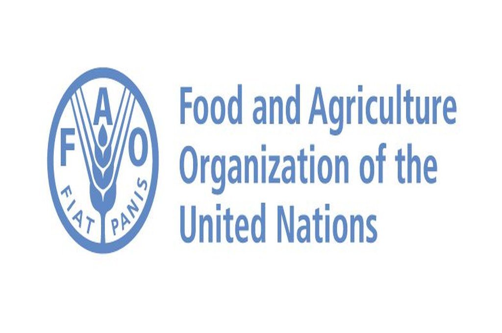 Appel à un programme de bourse d’étude de la FAO 20232024